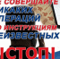 Сводка преступлений за период времени с 20.10.2025 г. по 27.10.2025 г. на территории МО «Город Гуково» - Администрация г. Гуково